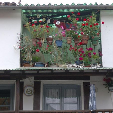Hotel Rural Carlos I Гарганта-ла-Олья Экстерьер фото