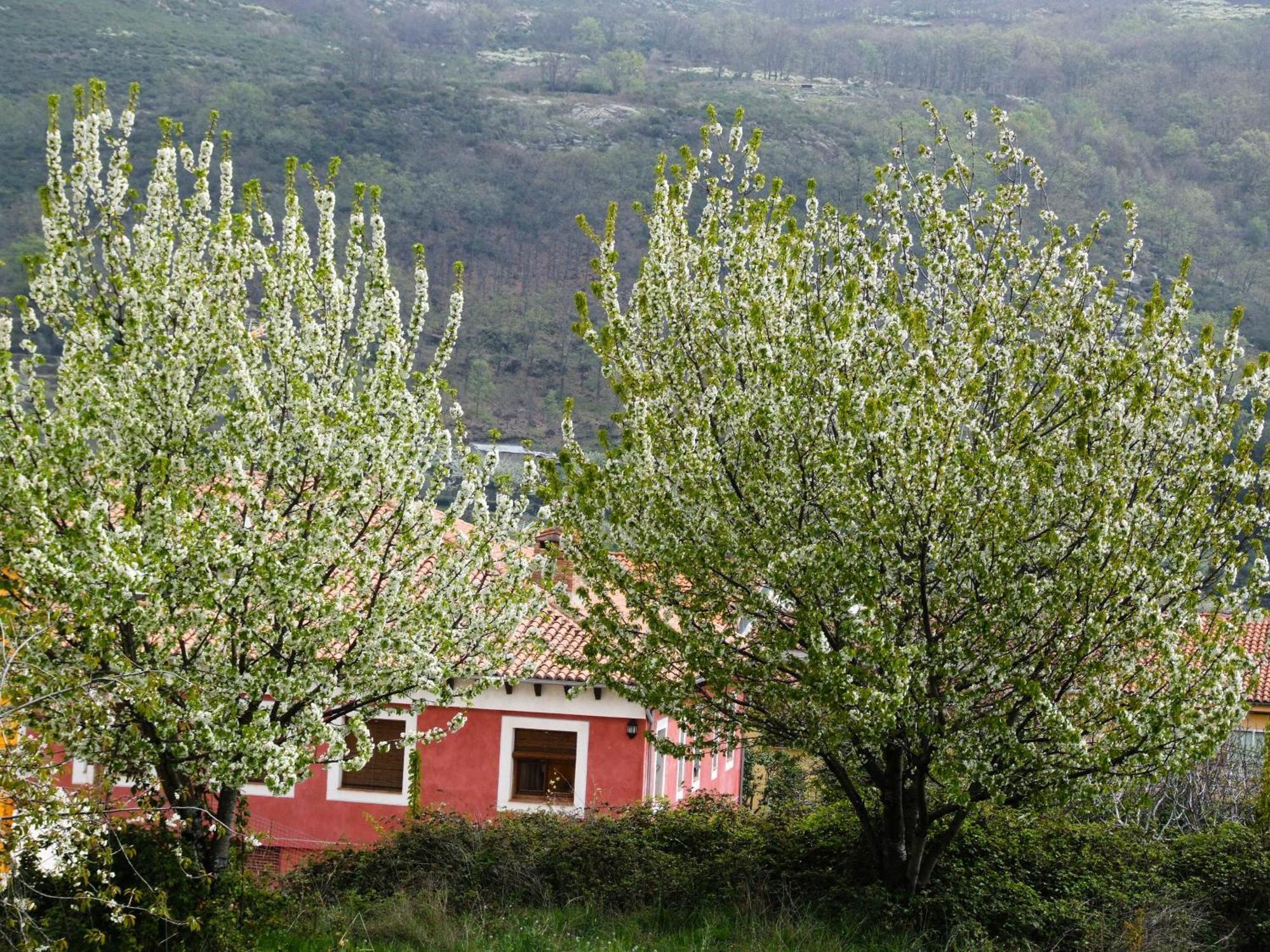Hotel Rural Carlos I Гарганта-ла-Олья Экстерьер фото